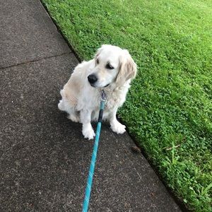 Meet your Posher, Addison